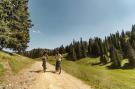 Holiday home Portes Du Soleil PSB196 TELECABINE &amp; MOUNTAIN 