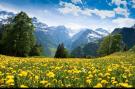 Vakantiehuis Balcons G 036 - PARC NAT. VANOISE appart. 6 pers.