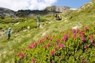 Vakantiehuis VVF Résidence Les Angles Pyrénées