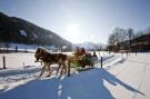 FerienhausÖsterreich - : Almdorf Stadl 160