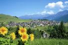 Holiday homeAustria - : Chalet Frommes