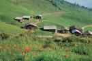 Holiday homeAustria - : Haas