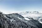 FerienhausÖsterreich - : Panorama Chalet 16