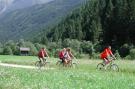 Holiday homeAustria - : Chalet Unterhofer Alm