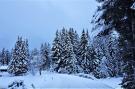 Holiday homeAustria - : Chalet Bärenschanze