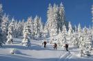 FerienhausÖsterreich - : Erzberg Alpin Resort  35