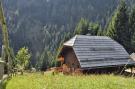 VakantiehuisOostenrijk - : Almhütte im Walde