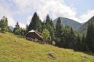 VakantiehuisOostenrijk - : Almhütte im Walde