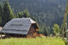 VakantiehuisOostenrijk - : Almhütte im Walde