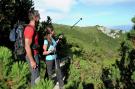 VakantiehuisOostenrijk - : Almhütte im Walde