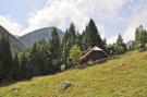 FerienhausÖsterreich - : Almhütte im Walde