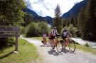 FerienhausÖsterreich - : Alpensteinbock Saalbach B