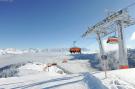 FerienhausÖsterreich - : Alpensteinbock Saalbach B