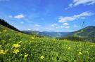 Holiday homeAustria - : Alpensteinbock Saalbach B