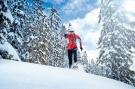 FerienhausÖsterreich - : Alpensteinbock Saalbach B