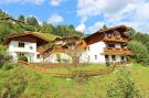 FerienhausÖsterreich - : Alpensteinbock Saalbach C