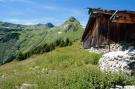 FerienhausÖsterreich - : Alpensteinbock Saalbach C