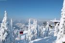 FerienhausÖsterreich - : Apartment An der Piste 3/Alpendorf