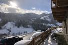 Holiday homeAustria - : Apartment An der Piste 3/Alpendorf