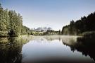 FerienhausÖsterreich - : Residenz Edelalm Top 2