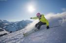 FerienhausÖsterreich - : Alpensteinbock Saalbach L