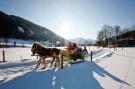 FerienhausÖsterreich - : Chalet Edelweiss