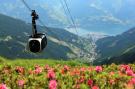 Holiday homeAustria - : Sinnlehen Sommer