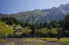 VakantiehuisOostenrijk - : Alpenchalets Reiteralm 1