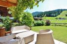 Holiday homeAustria - : Chalet Kaiserliebe II