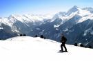 Holiday homeAustria - : Apart Franz Josef - Top 1