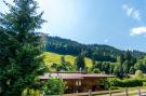 Holiday homeAustria - : Chalet Leo