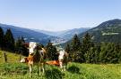 Holiday homeAustria - : Chalet Milner