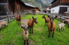 FerienhausÖsterreich - : Haus Peppas