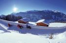 Holiday homeAustria - : Luxner