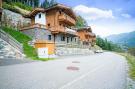 Holiday homeAustria - : Chalet Elisabeth