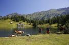 FerienhausÖsterreich - : Alpenrock Schladming 1