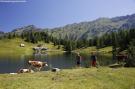 FerienhausÖsterreich - : Alpenrock Schladming 2