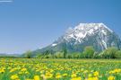 Holiday homeAustria - : Alpenrock Schladming 2