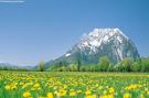 Holiday homeAustria - : Alpenrock Schladming 4