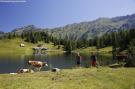 FerienhausÖsterreich - : Alpenrock Schladming 4