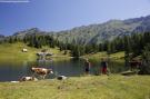 VakantiehuisOostenrijk - : Alpenrock Schladming 5