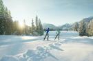 FerienhausÖsterreich - : Alpenrock Schladming 3