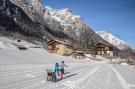 Holiday homeAustria - : Bergeralm Chalets 2