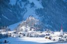 Holiday homeAustria - : Haus Bergwald TOP 1