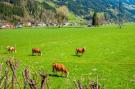 FerienhausÖsterreich - : Apartment Bergblick