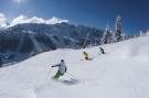 Holiday homeAustria - : Apartments Zillertal 4P