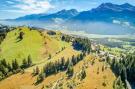 FerienhausÖsterreich - : Panorama Chalet Barda