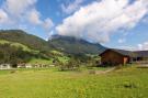 Holiday homeAustria - : Horngacher