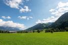 Holiday homeAustria - : Horngacher