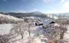 Holiday homeAustria - : Russbach